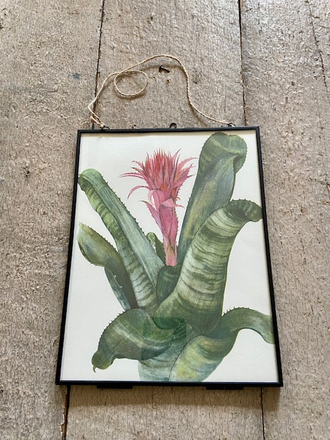 Framed Vintage Tropical Botanical Print, Pink Flower, Old Book Plate, Nature Inspired Prints, Hanging, Bright Wall Art, Gallery Wall Decor, Foliage Prints