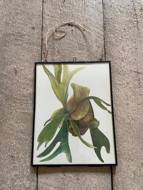 Vintage Tropical Flower Print, Azalea, Jungle Art, Succulent, Old Book Plate, Nature Inspired, Botanical, Green, Foliage, Print, Hanging, Gallery Wall Art, Sustainable, Gift