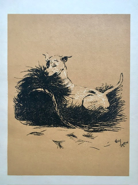 Vintage Dog Print, Terrier Art, Cecil Aldin Animal Illustrations, Pet, Dog Lover Prints, Gift, Book Print, Framed Wall Art, Vintage Art, Gallery Wall