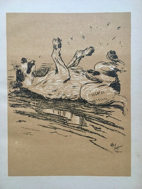 Vintage Cecil Aldin Dog Print, 'Muddy Puddle' Terrier Art, Animal Illustration, Pet, Dog Lover Prints, Gift, Book Print, Framed Wall Art, Vintage Art, Gallery Wall