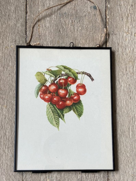 Vintage Cherry Print, Fruit Book Plate, Red Cherry Art, Summer Fruit Illustrations, Nature Prints, Framed Hanging Wall Art, Natural Art