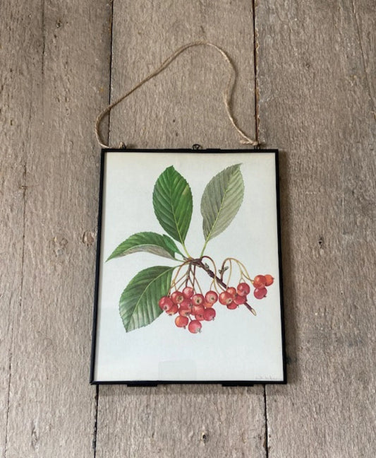 Vintage Forest Print, Nature, Woodland Art, Tree Book Plate, Red Berries, Autumnal Print, Framed Art, Nature Inspired, Lithographs