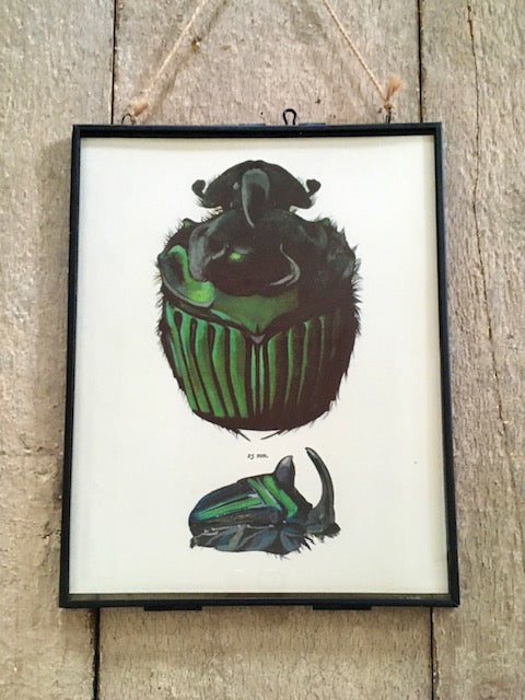 Vintage Bug Print, Large Green Beetle Art Print, Insect Art, Nature Print, Original Book Print, Hanging Wall Art, Nature Gifts, Framed Wall Art
