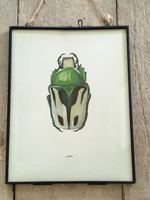 Vintage Bug Print, Large Green Beetle Art Print, Insect Art, Nature Print, Original Book Print, Hanging Wall Art, Nature Gifts, Framed Wall Art