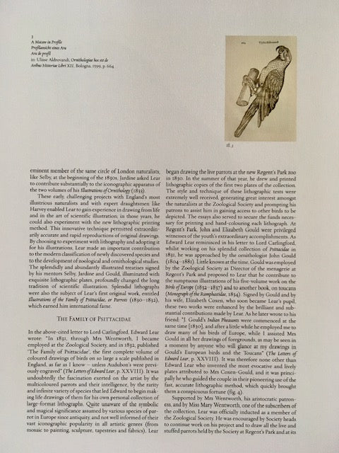 Vintage Owl Book Print, Bird Of Prey Art, Bird Illustrations, Nature Prints, Vintage Wall Art, Prints, Hanging Wall Art, Home Decor