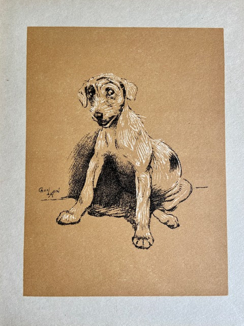 Vintage Dog Print, Terrier 'What Me?' Art, Cecil Aldin Animal Illustration, Pet, Dog Lover Prints, Gift, Book Print, Framed Wall Art, Vintage Art, Gallery Wall