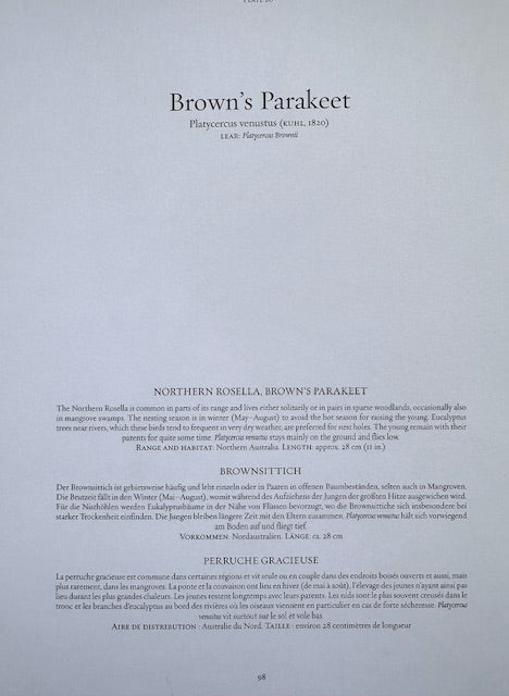 Vintage Colourful Parrot Print, Tropical Birds, Parrot, Art Jungle Prints, Bird Illustrations, Vintage Wall Art, Prints, Hanging Wall Art