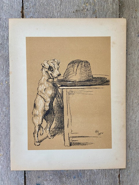Vintage Dog Print, Terrier With Jelly Art, Cecil Aldin Animal Illustration, Pet, Dog Lover Prints, Gift, Book Print, Framed Wall Art, Vintage Art, Gallery Wall