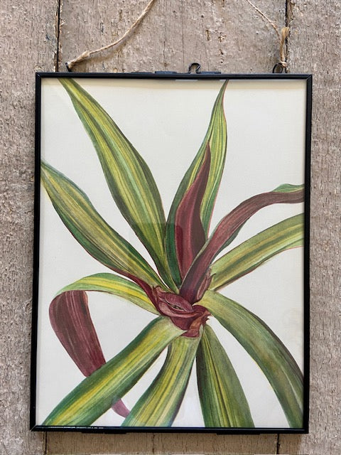 Vintage Tropical Purple Flower Print, Bright Jungle Wall Art, Colour Pop Hanging Wall Art, Modern Framed Ready To Hang Art, Maximalist Decor