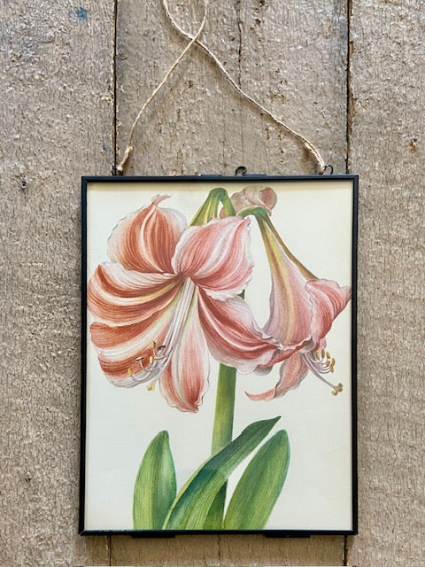 Framed Vintage Tropical Botanical Print, Pink Flower, Old Book Plate, Nature Inspired Prints, Hanging, Bright Wall Art, Gallery Wall Decor, Foliage Prints (Copy)