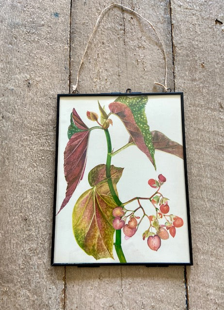 Framed Vintage Tropical Botanical Print, Pink Flower, Old Book Plate, Nature Inspired Prints, Hanging, Bright Wall Art, Gallery Wall Decor, Foliage Prints
