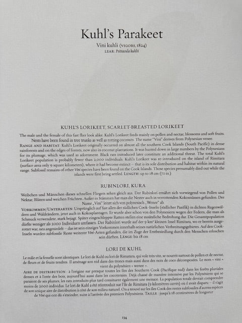 Vintage Colourful Parrot Print, Tropical Birds, Parrot, Art Jungle Prints, Bird Illustrations, Vintage Wall Art, Prints, Hanging Wall Art