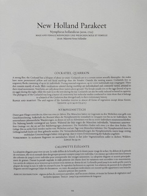 Vintage Colourful Parrot Print, Tropical Birds, Parrot, Art Jungle Prints, Bird Illustrations, Vintage Wall Art, Prints, Hanging Wall Art