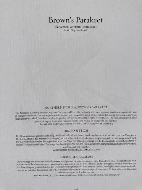 Vintage Colourful Parrot Print, Tropical Birds, Parrot, Art Jungle Prints, Bird Illustrations, Vintage Wall Art, Prints, Hanging Wall Art