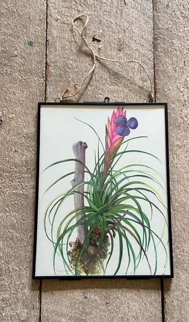 Framed Vintage Tropical Botanical Print, Purple Flower, Old Book Plate, Nature Inspired Prints, Hanging, Bright Wall Art, Gallery Wall Decor, Foliage Prints (Copy)
