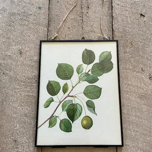 Vintage Woodland Forest Print, Nature Inspired Book Plate, Green Foliage Art, Hanging Gallery Wall Art, Modern Framed, Rustic Home Decor