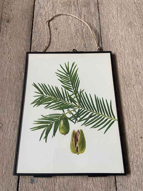 Vintage Forest Print, Green Leaf Tree, Nature Art, Nature Gift, Frame, Botanical Prints, Framed Art, Nature Wall Art, Hanging Wall Decor