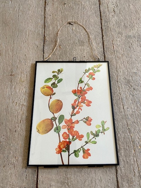 Vintage Oriental, Style Art, Japanese Book Plate, Botanical Print, Old Book Prints, Hanging Wall Art, Sustainable Art