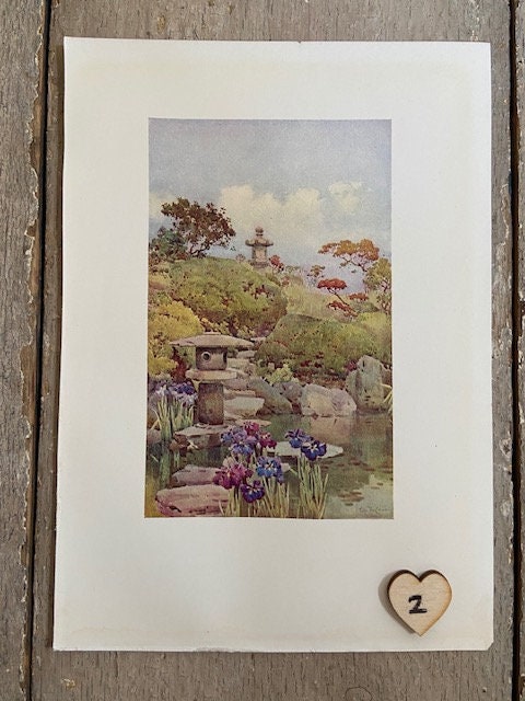 Vintage Japanese Art, Japanese Illustrations, Cherry Blossom, Oriental Art, Japandi Wall Decor, Unframed Prints, Book Prints, Wall Art