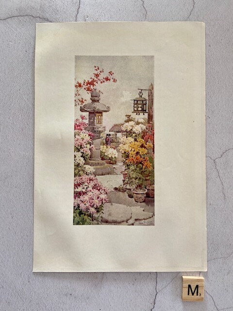 Vintage Japanese Art, Japanese Illustrations, Book Plates, Oriental Art, Japandi Wall Decor, Unframed Prints, Book Prints, Wall Art