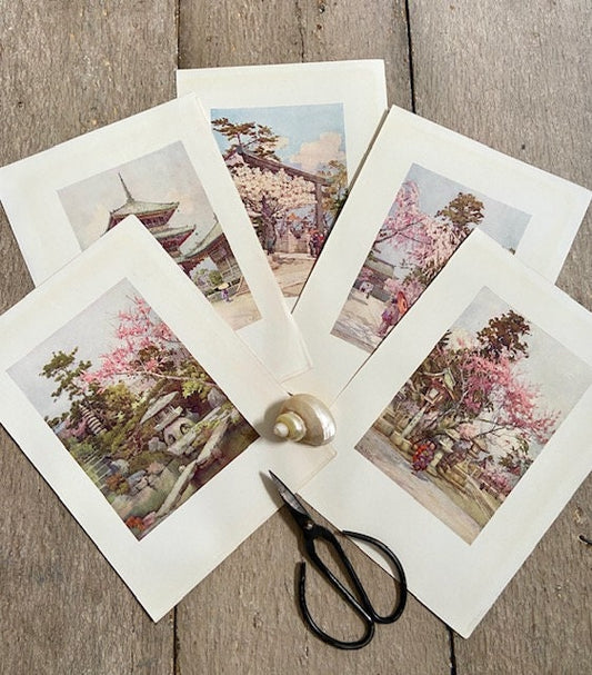 Vintage Japanese Art, Japanese Illustrations, Cherry Blossom, Oriental Art, Japandi Wall Decor, Unframed Prints, Book Prints, Wall Art