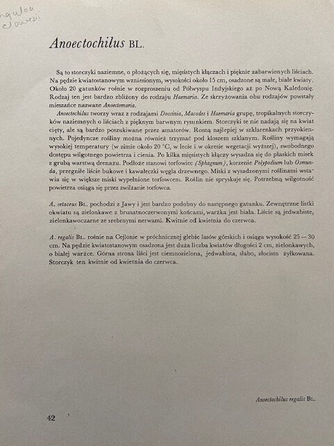 Vintage Yellow Orchid Print, Yellow Flower, Botanical Print, Original Book Plate, Vintage Framed Art, Wall Art, Nature Prints Vintage Yellow Orchid Print, Yellow Flower, Botanical Print, Original Book Plate, Vintage Framed Art, Wall Art, Nature Prints