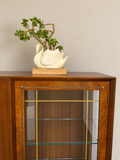 Vintage Mid Century Glazed Display | Drinks Cabinet With Gold Detailing
