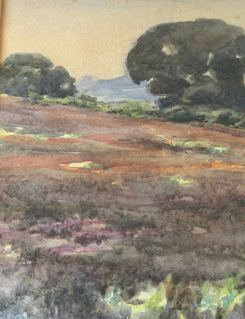 Water Colour Landscape Painting, Original Signed Art, Framed Artwork, Woodland Forest, Classic English Art, Gallery Wall Decor