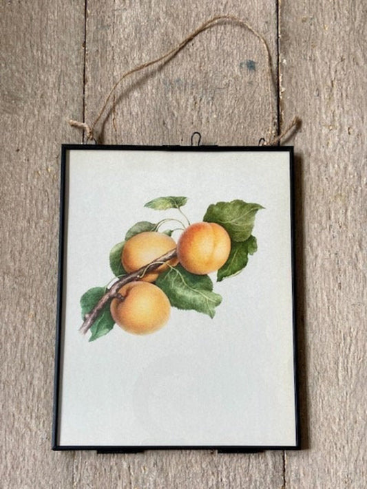 Vintage Lemon Fruit Print, Fruit Book Plate, Bright Wall Art, Colourful Fruit Illustrations, Nature Inspired Gift, Framed Hanging Wall Art