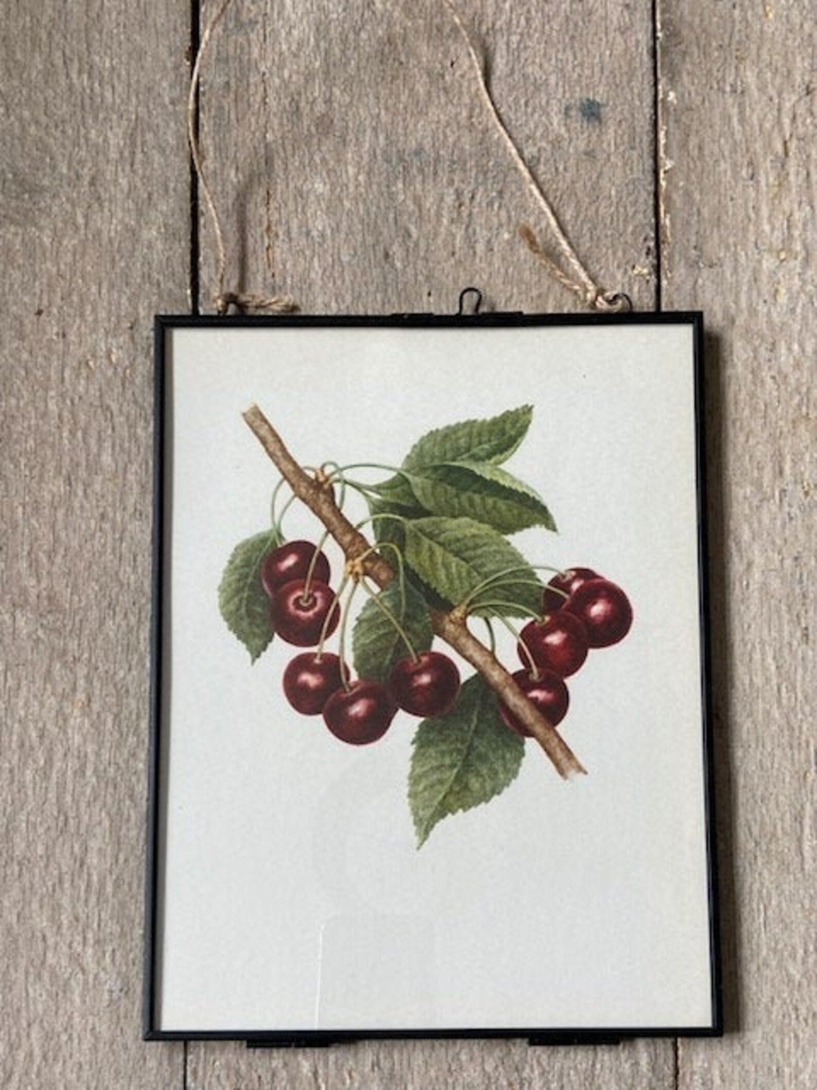 Vintage Fruit Print, Black Cherry Art, Summer Fruit Illustrations, Nature Prints, Framed Hanging Wall Art, Natural Art