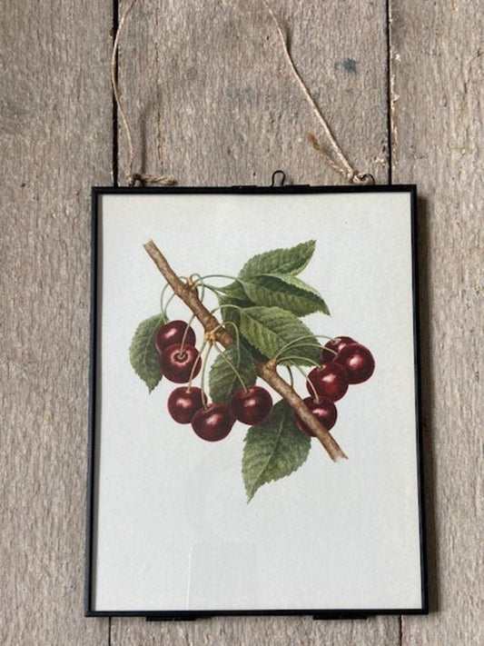 Vintage Fruit Print, Black Cherry Art, Summer Fruit Illustrations, Nature Prints, Framed Hanging Wall Art, Natural Art