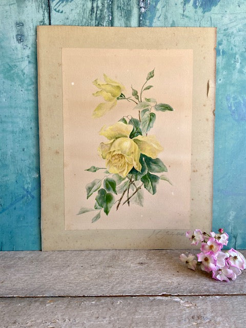 Vintage Water Colour Painting, Yellow Roses, Floral Painting, Botanical Art, Unframed Original Artwork, Signed, Vintage Wall Art, Wall Decor