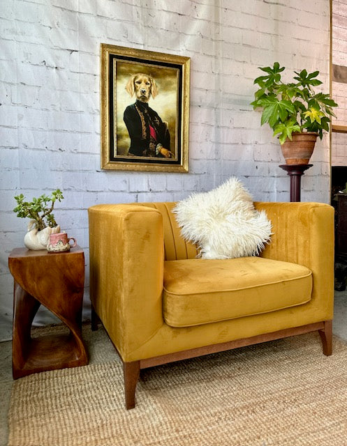 Modern Mustard Armchair Chesterfield Mustard Velvet Armchair JAYDEN CREATION Nora Modern