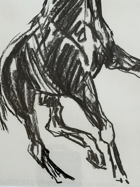 Original Signed Equestrian Line Drawing | Framed Horse Artwork