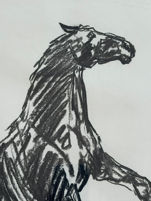 Original Signed Equestrian Line Drawing | Framed Horse Artwork