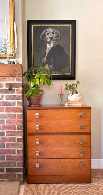 Mid Century Stag Cantata Chest Of Drawers, Tall Boy, Bedroom Furniture, Hall Console, Hall Storage, Danish, Scandi Decor