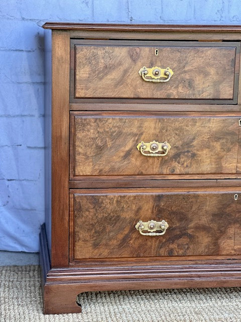Antique Georgian Burr Walnut Chest Of Drawers | Walnut Chest | English Country Furniture