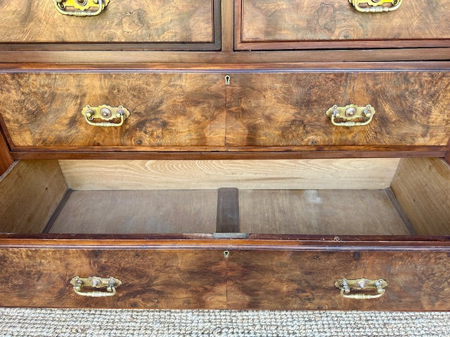 Antique Georgian Burr Walnut Chest Of Drawers | Walnut Chest | English Country Furniture