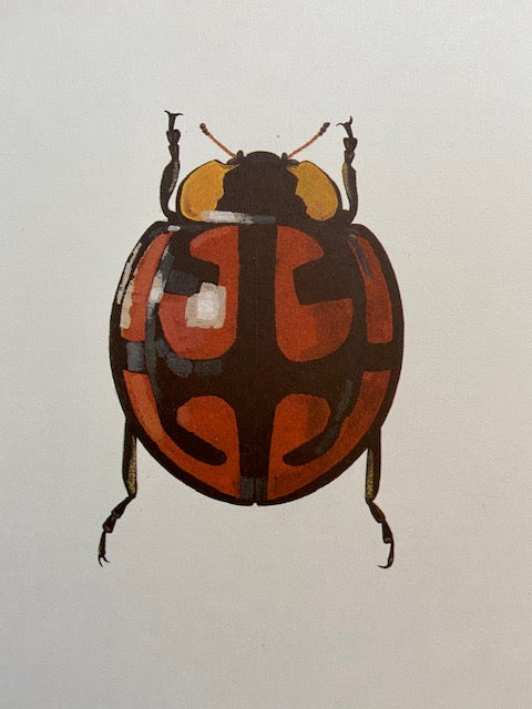 Vintage Red Bug Print, Vintage Book Plate, Beetle Print, Bug, Print, Framed Art, Botanical, Bugs, Butterfly Art, , Nature Print, Wall Art