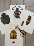 Vintage Blue Beetle Print, Bug Drawing,Old Book Plate, Original Botanical Framed Art, Nature Inspired Art, Bright Gallery Wall Decor, Unique Gift