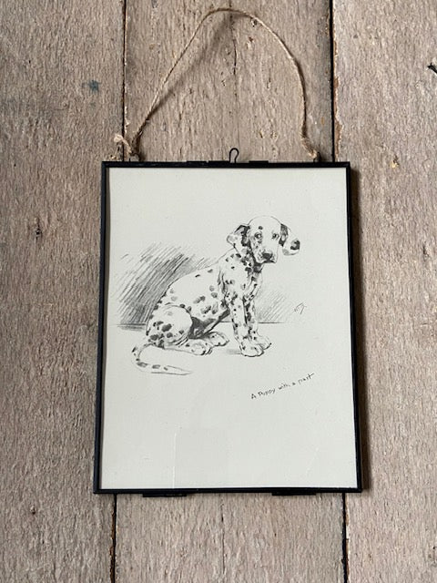 Vintage Dalmatian, Puppy Print, Pet Portrait, Framed Dog Art, Double Sided Print, Dog Lover, Owner Gift, Gallery Wall Art, Decor