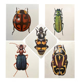 Vintage Blue Beetle Print, Bug Drawing,Old Book Plate, Original Botanical Framed Art, Nature Inspired Art, Bright Gallery Wall Decor, Unique Gift