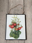 Vintage Strawberry Print, Summer Fruit Art, Soft Fruit Illustration, Plant Print, Nature Inspired Print, Framed Hanging Nature Wall Art