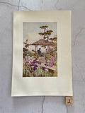 Vintage Japanese Art, Japanese Illustrations, Book Plates, Oriental Art, Japandi Wall Decor, Unframed Prints, Book Prints, Wall Art