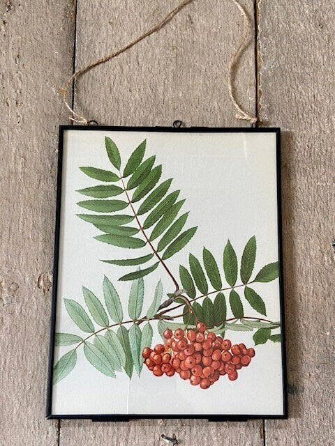 Vintage  Woodland Forest Print, Red Berries, Hawthorn Book Plate, Ready To Hang Art, Green Foliage, Hanging Gallery Wall Decor,