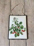 Vintage Botanical Forest Print, Strawberry Tree Print, Nature Inspired Wall Decor, Red Berries, Framed Gallery Wall Decor, Rustic Home Decor