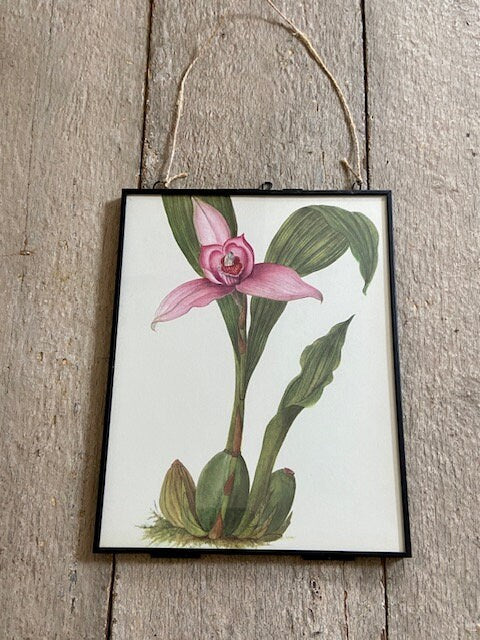 Vintage Pink Orchid Print, Japandi Art, Botanical Art, Japanese Print,  Book Plate, Framed Prints, Framed Hanging Wall Art, Nature Prints