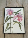 Vintage Pink Orchid Flower, Floral Print, Japandi Print, Botanical Art, Japanese, Nature Inspired, Framed 1960 Print, Gallery Wall Art, Gift
