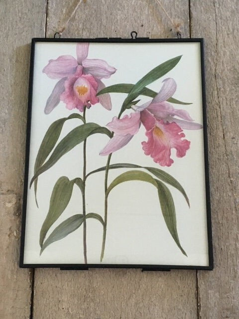 Vintage Pink Orchid Flower, Floral Print, Japandi Print, Botanical Art, Japanese, Nature Inspired, Framed 1960 Print, Gallery Wall Art, Gift