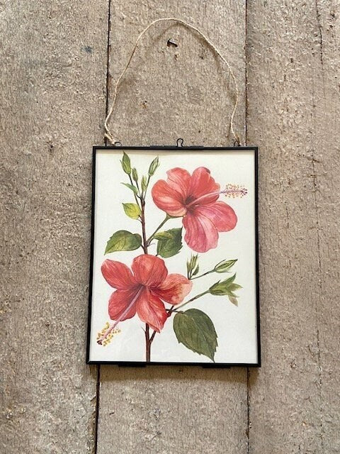 Vintage Bright Botanical Print, Pink Orchid Print, Floral Print, Nature Inspired, Framed Wall Art, Book Plate, Hanging Gallery Wall Decor